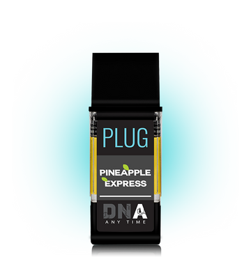 Plug Play Dna Pink R Plug Oil DNA – PLUGPLAY™
